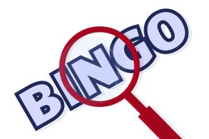 Bingo logo and a magnifier