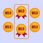 Wild symbols