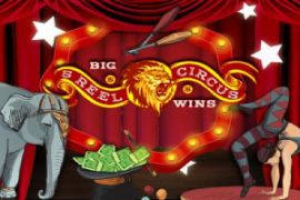 5 reel circus logo