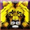 50 lions