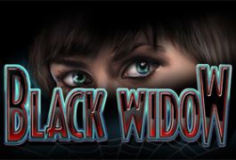 black widow igt