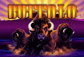 Gameplay Facts & Figures Buffalo