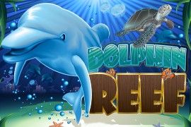 dolphin reef