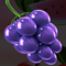 fruit zen symbol grape