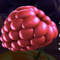 fruit zen symbol raspberries