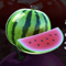 fruit zen symbol watermalon