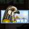 gods temple