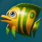 golden fish tank