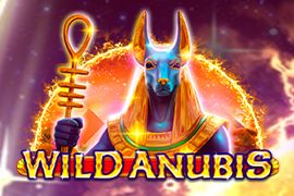 wild anubis