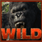 king kong