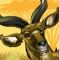 antelope